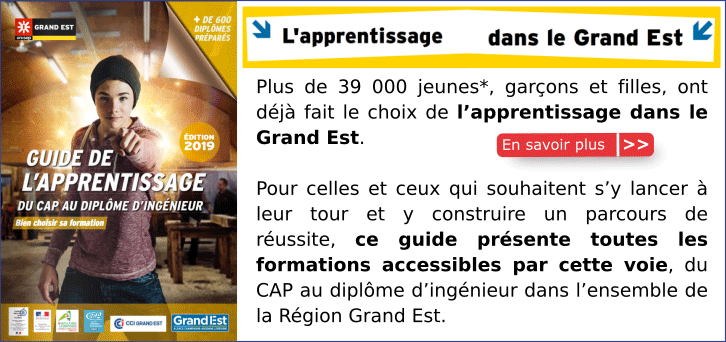 Guide de l'apprentissage �dition 2019