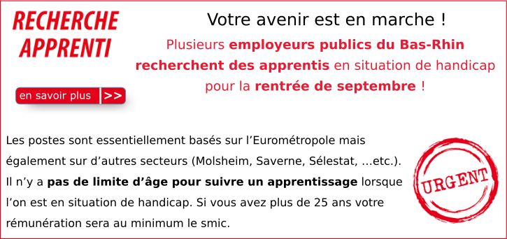 Bas-Rhin : recherchent des apprentis en situation de handicap