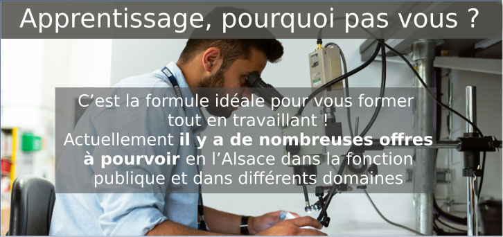 L�apprentissage : pourquoi pas vous ?
