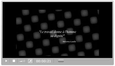 Voir la vid�o : le succ�s du handicap en entreprise